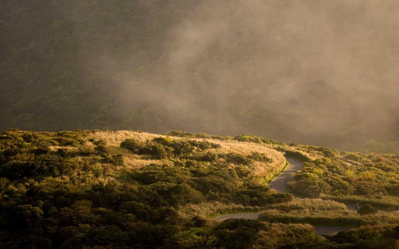 Bina təhlükəsizliyi sistemləri